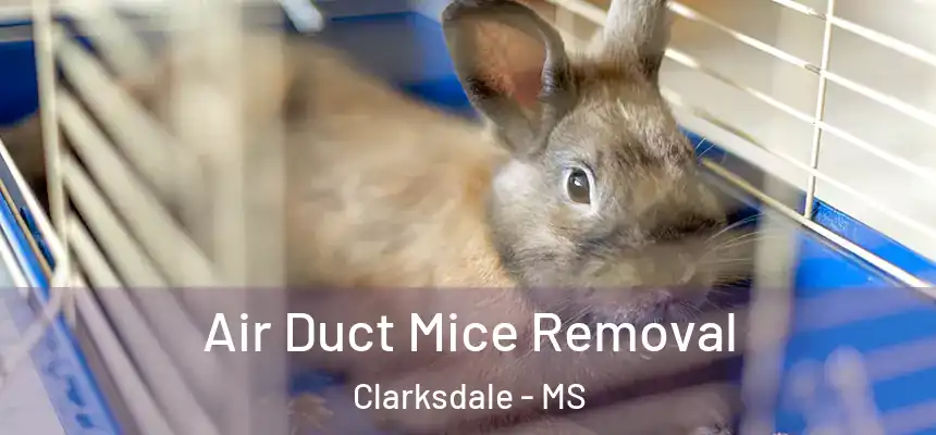  Air Duct Mice Removal Clarksdale - MS