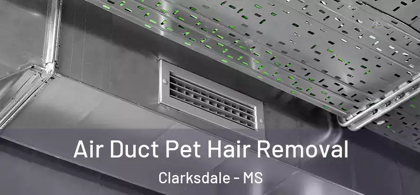  Air Duct Pet Hair Removal Clarksdale - MS