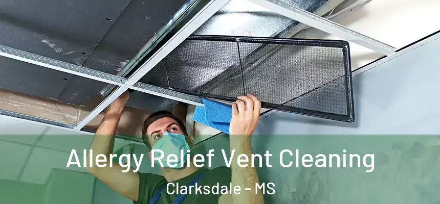  Allergy Relief Vent Cleaning Clarksdale - MS