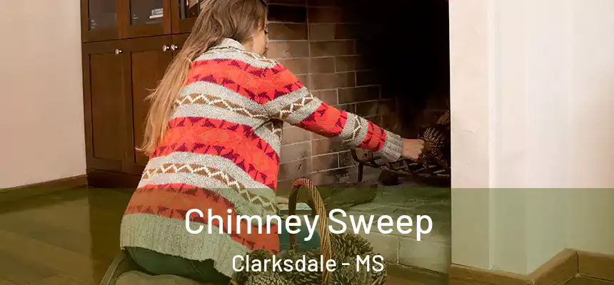  Chimney Sweep Clarksdale - MS