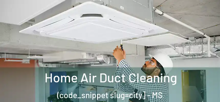  Home Air Duct Cleaning (code_snippet slug=city] - MS