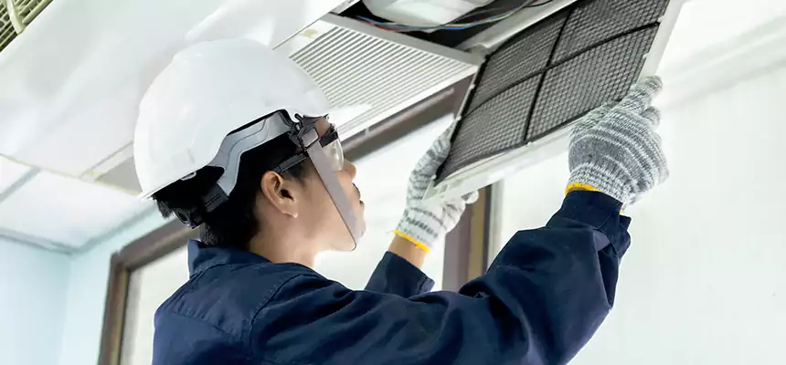 Our Mold & Mildew Removal from Air Ducts Services in Clarksdale, MS