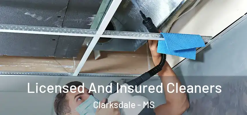  Licensed And Insured Cleaners Clarksdale - MS