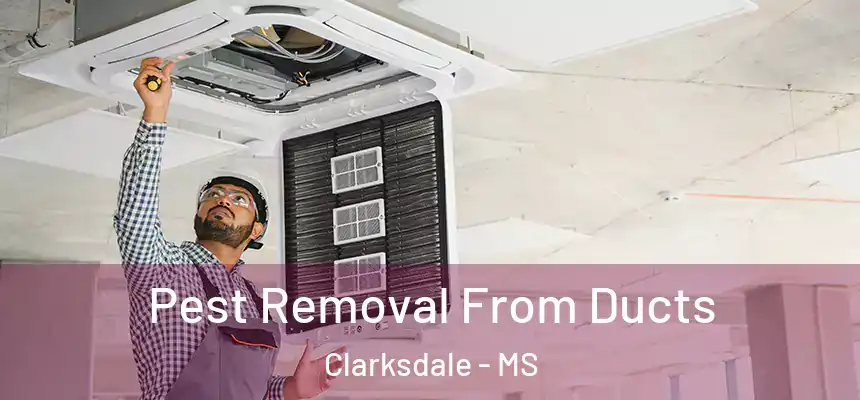  Pest Removal From Ducts Clarksdale - MS