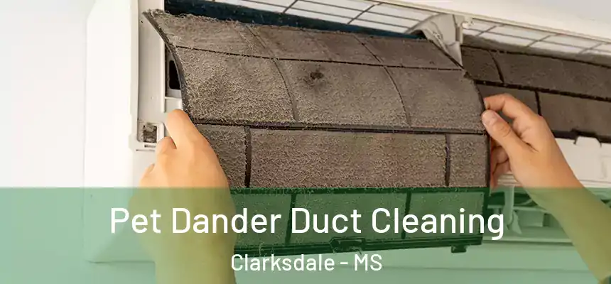  Pet Dander Duct Cleaning Clarksdale - MS