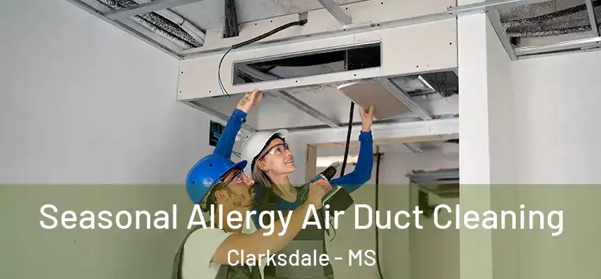  Seasonal Allergy Air Duct Cleaning Clarksdale - MS