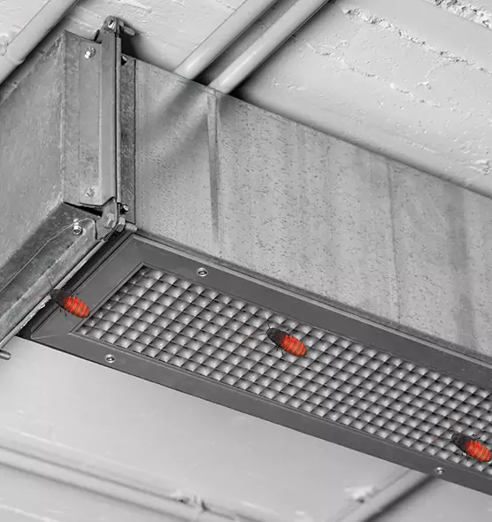 About Air Duct Cockroach Removal in Clarksdale, MS